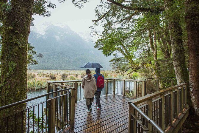 Milford Sound Coach & Cruise Tour from Te Anau - Seating, family needs, and whether group travel will annoy you