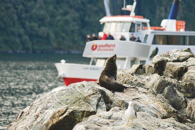 Milford Sound Coach & Extended Cruise from Queenstown - Arriving at Milford Sound: getting ready for the cruise portion