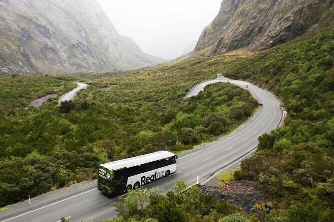 Milford Sound Cruise from Queenstown or Te Anau - Food and budget: what’s included versus what you’ll likely pay for