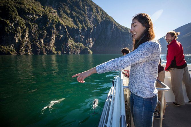 Milford Sound Cruise: Stunning Views & Optional Picnic or Buffet - Onboard comfort: windows vs. decks, and what “up to 200 travelers” really means