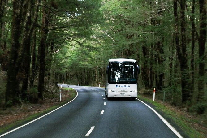 Milford Sound Day Tour from Te Anau - Mirror Lakes and Monkey Creek: short stops that actually earn their time