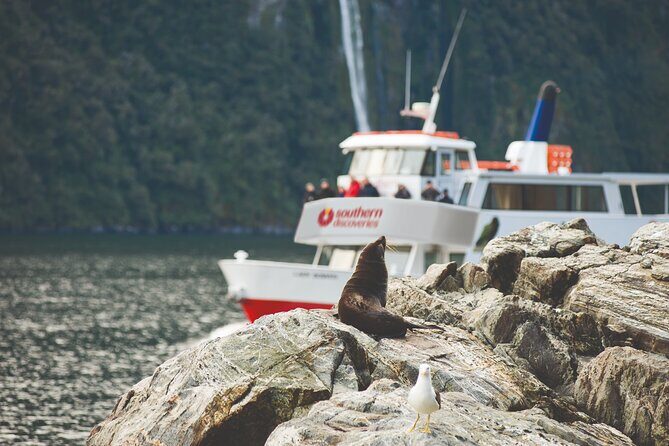 Milford Sound Extended Cruise with Southern Discoveries - Key things I’d plan around on this cruise