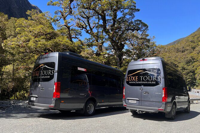 Milford Sound Full Day Tour from Te Anau with Cruise - Te Anau Downs: first views, quick orientation, then off again