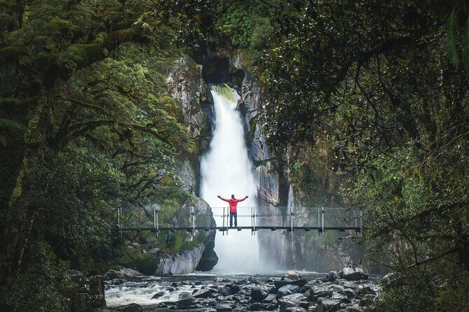 Milford Sound Nature Cruise and Self-Guided Scenic Track Walk - Key highlights you’ll actually care about