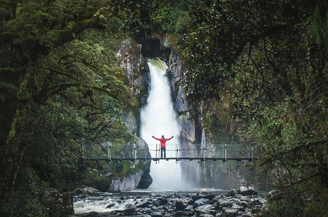 Milford Sound Nature Cruise and Self-Guided Scenic Track Walk - The Southern Discoveries nature cruise: catamaran comfort meets close-up fjord drama
