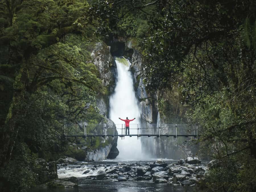 Milford Sound: Nature Cruise & Milford Track Walk - Comfort and included extras: what you’ll feel during the day