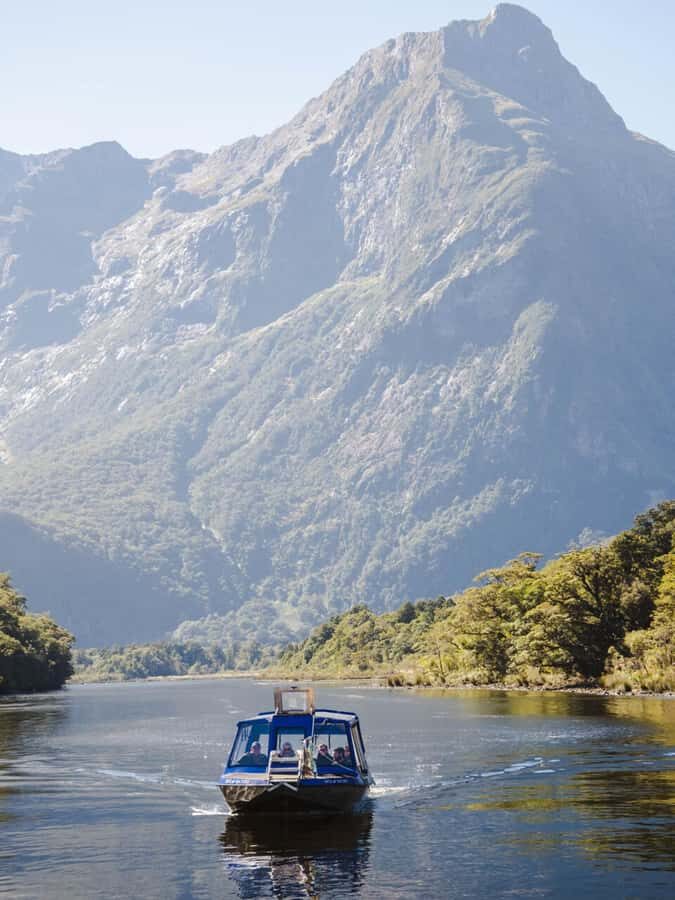 Milford Sound: Nature Cruise & Milford Track Walk - Price and value: is $133 a good deal?