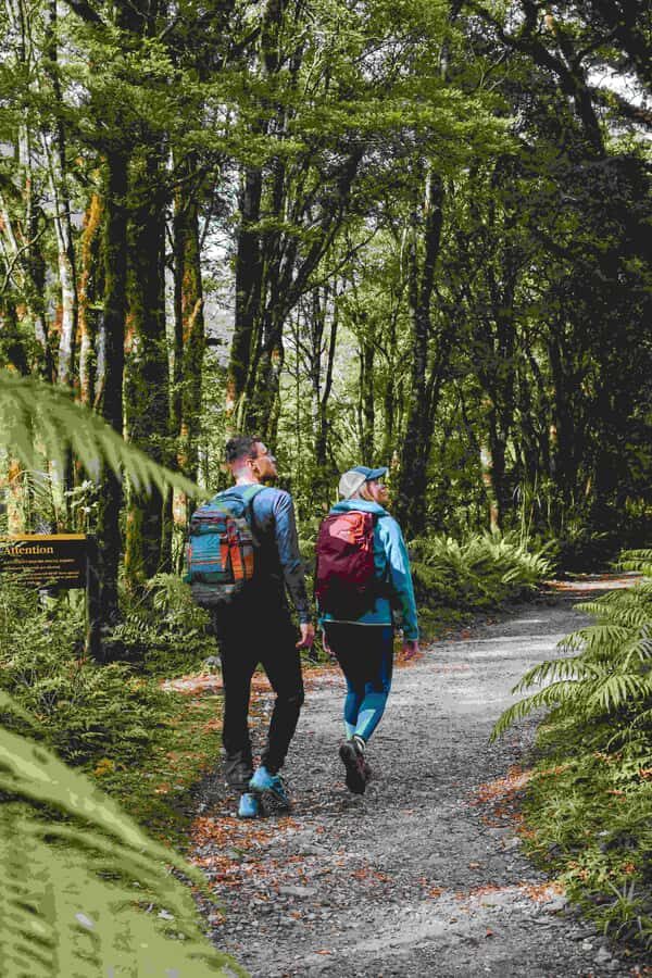 Milford Sound: Nature Cruise & Milford Track Walk - Pick your departure: 9:00 am walk-first vs 10:30 am cruise-first