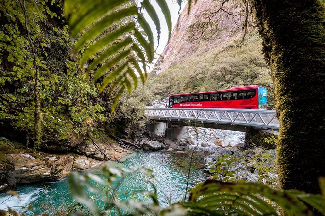 Milford Sound Premium Coach and Cruise with Lunch from Te Anau - Price and Value: What $183.07 Really Buys You