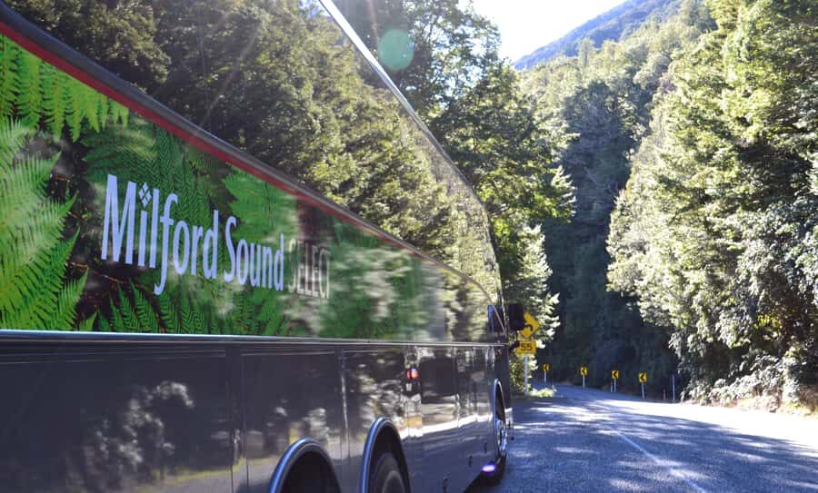 Milford Sound Premium Day Tour and Cruise from Te Anau - The Milford Sound cruise: waterfalls close enough to feel