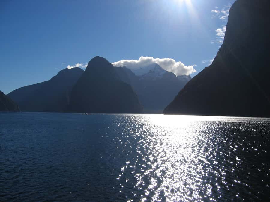Milford Sound Premium Day Tour and Cruise from Te Anau - Anita Bay and the greenstone story you’ll actually remember