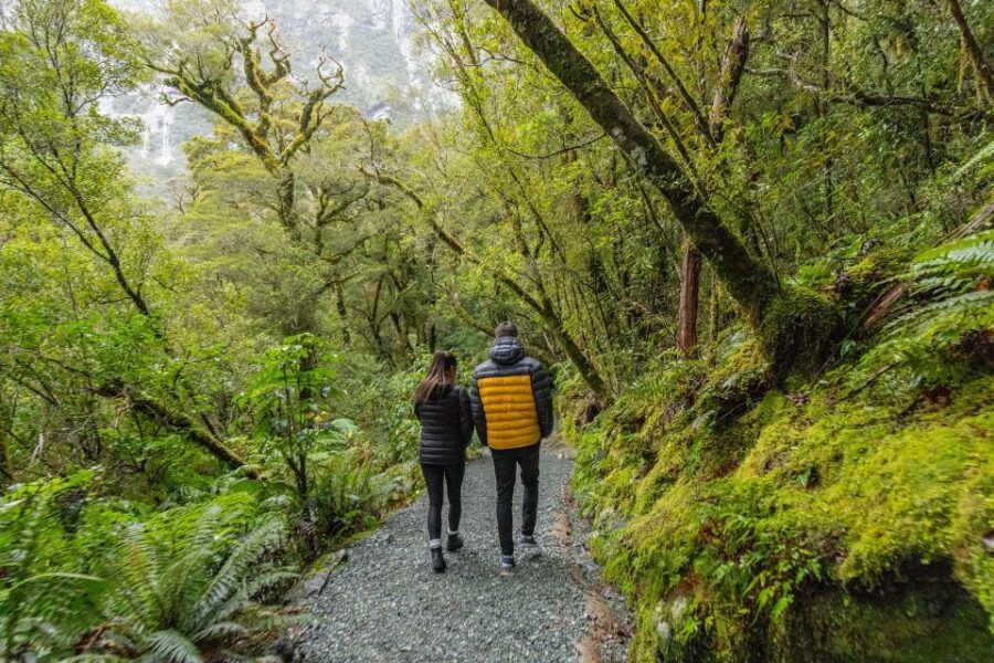 Milford Sound: Premium Small Group Tour from Queenstown - Weather reality: rain doesn’t ruin Milford Sound, it changes the show
