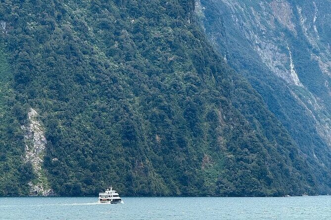 Milford Sound Private Day Trip from Queenstown via Te Anau - Quick take: what makes this Milford Sound private day trip work