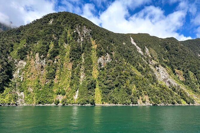 Milford Sound Private Day Trip from Queenstown via Te Anau - Who you’ll ride with: the value of a private driver-guide team