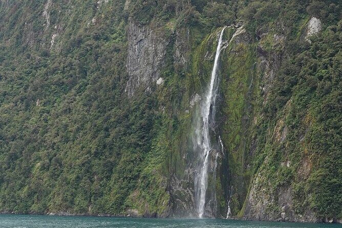 Milford Sound Private Day Trip from Queenstown via Te Anau - Price, included value, and the cruise cost math