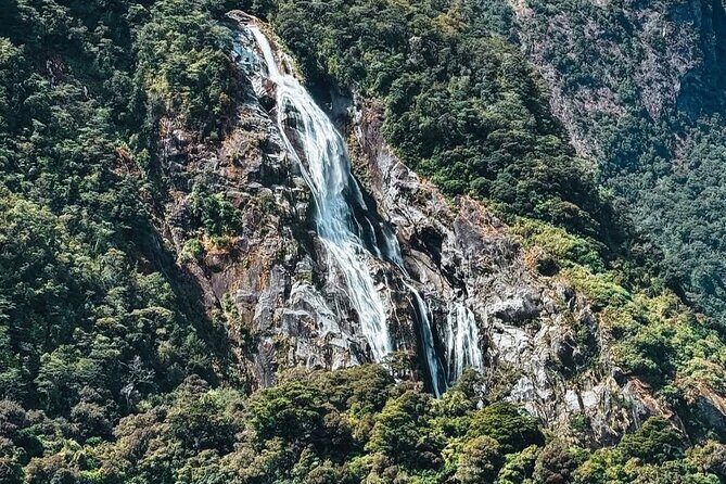 Milford Sound Private Day Trip from Queenstown via Te Anau - Weather reality in Fiordland: plan for the day, not the forecast