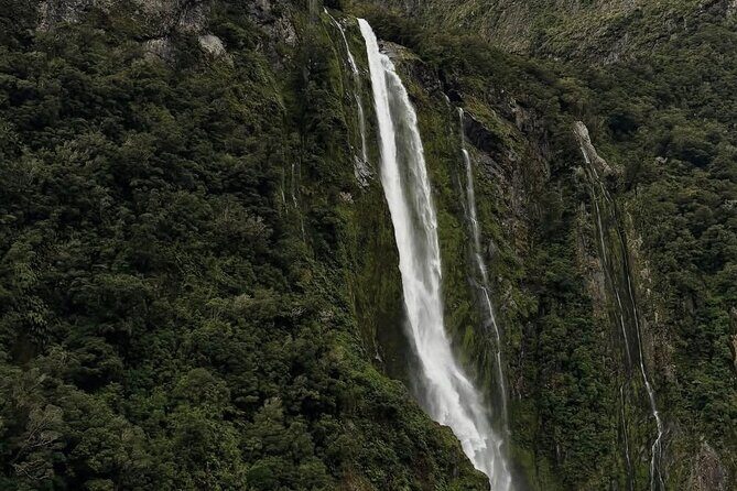 Milford Sound Private Day Trip from Queenstown via Te Anau - Who should book this private Milford Sound day trip?