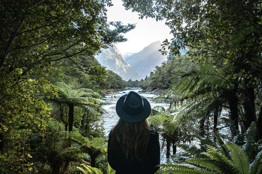 Milford Sound: Self-Guided Milford Track Day Walk - Your Milford Track day plan: boat first, then Giant Gate Falls