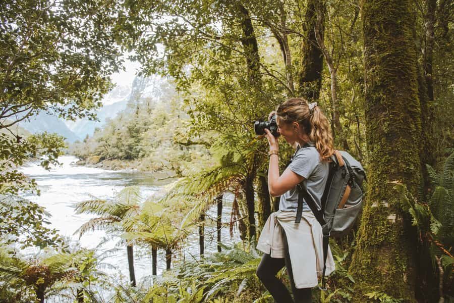 Milford Sound: Self-Guided Milford Track Day Walk - Giant Gate Falls: why this turnaround point is worth planning for