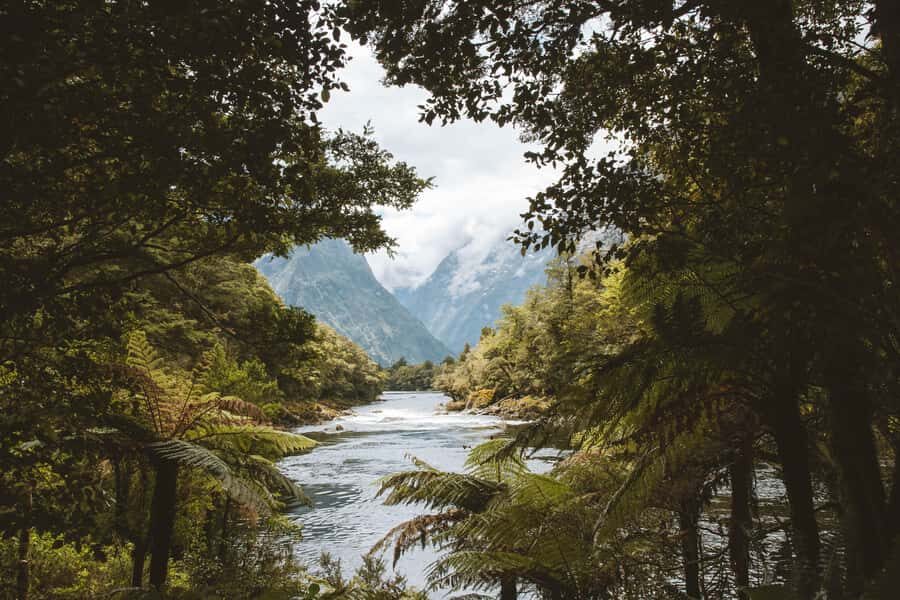 Milford Sound: Self-Guided Milford Track Day Walk - Price and value: $44 for a boat plus a maintained trail