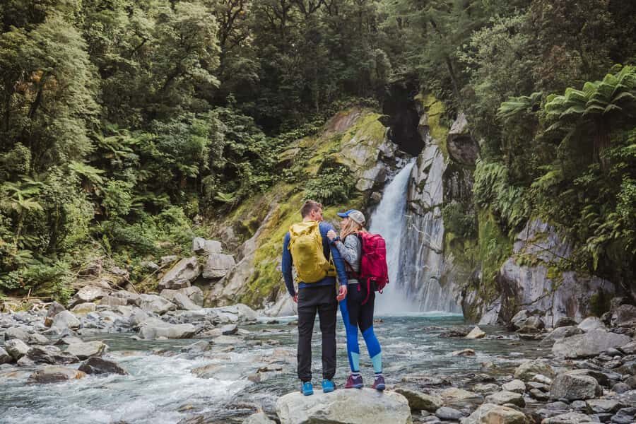 Milford Sound: Self-Guided Milford Track Day Walk - Timing hacks: pairing this walk with Milford Sound cruises