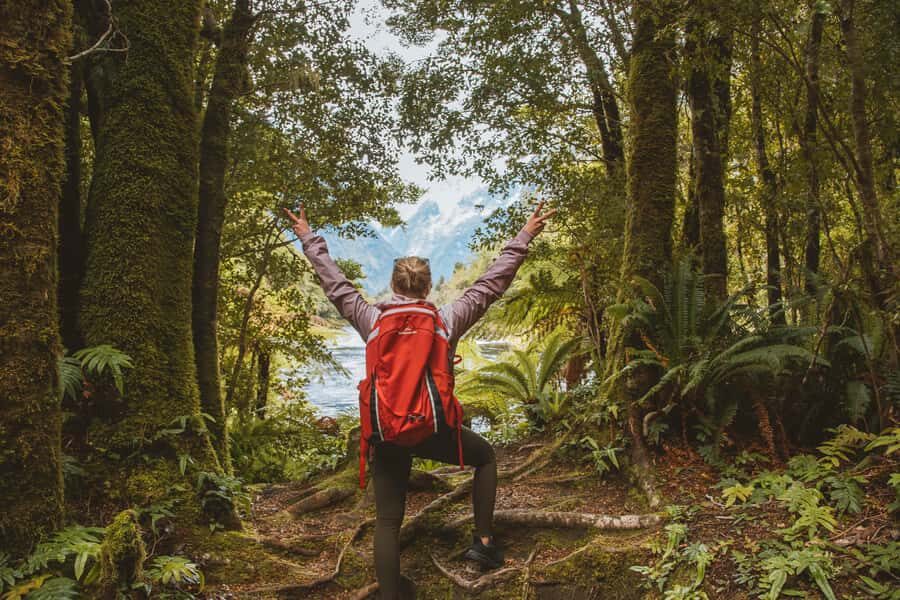Milford Sound: Self-Guided Milford Track Day Walk - Who should book this self-guided Milford Track day walk