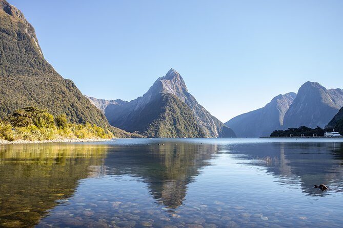 Milford Sound Small Group Tour from Queenstown with Scenic Flight - Lake Te Anau and Fiordland National Park: the scenic road isn’t filler