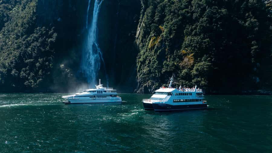 Milford Sound: Waterfalls, Wildlife, and Rainforest Cruise - Key Things I’d Prioritize