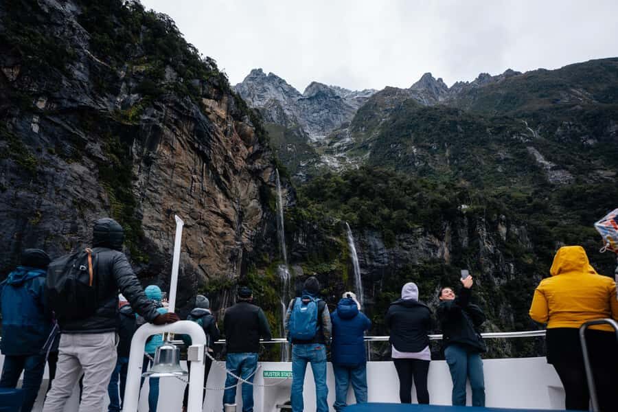 Milford Sound: Waterfalls, Wildlife, and Rainforest Cruise - Price and Value: What $83 Buys You Here