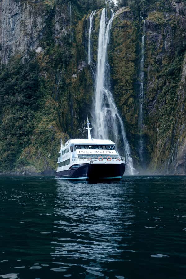 Milford Sound: Waterfalls, Wildlife, and Rainforest Cruise - Getting the Timing Right (So You Don’t Feel Rushed)