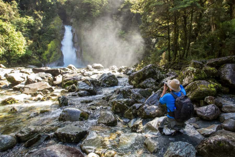 Milford Track: Full Day Guided Hike and Nature Cruise - Who should book this guided Milford Sound day