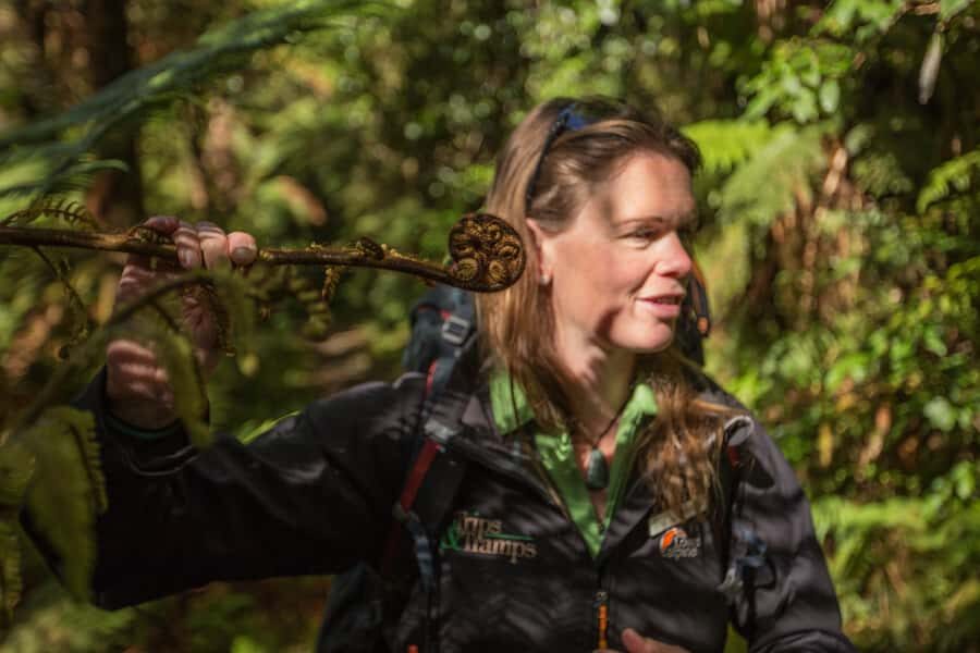 Milford Track: Full Day Guided Hike and Nature Cruise - Milford Sound from two angles in one 7-hour day