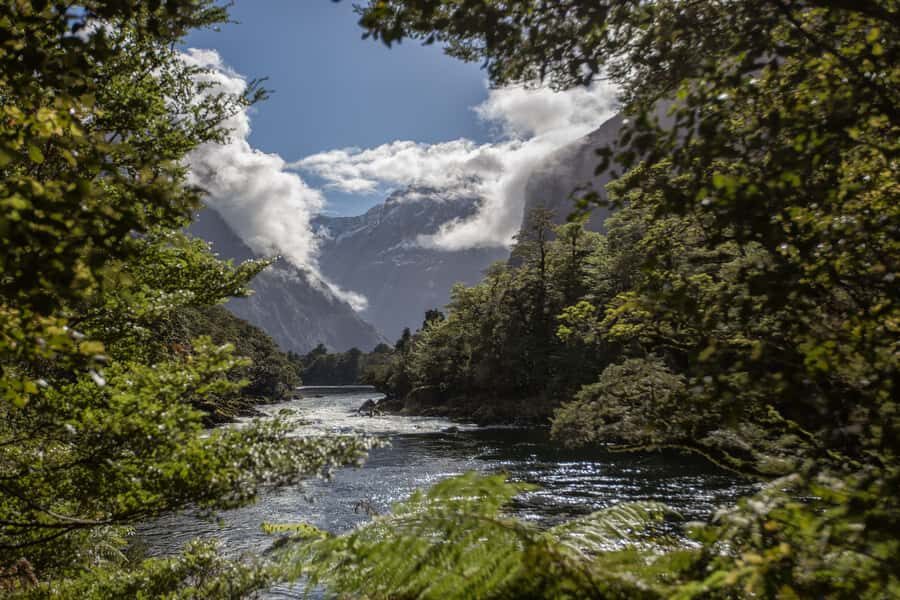 Milford Track: Full Day Guided Hike and Nature Cruise - The guided Milford Track hike: Arthur River to Lake Ada
