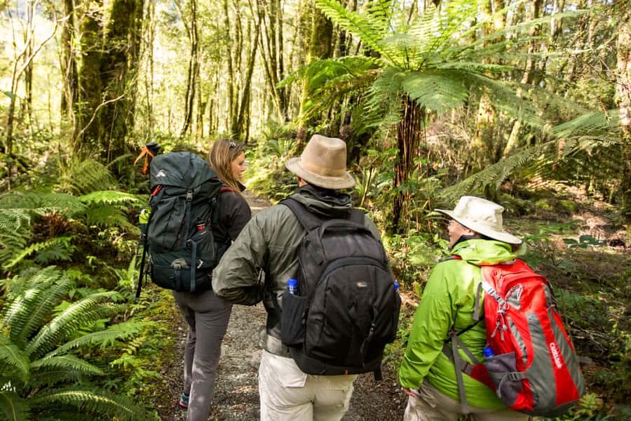 Milford Track: Full Day Guided Hike and Nature Cruise - Midday reset at the visitor center: hot drinks and a breather
