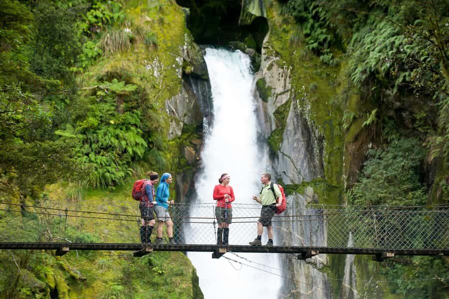 Milford Track: Full Day Guided Hike and Nature Cruise - Starting at Mitre Peak Cruises and the Deep Water Basin water taxi