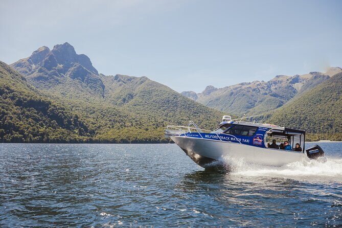 Milford Track Multi-Night Hike - Water Taxi Transport - Price and Value: What $152.04 Buys You