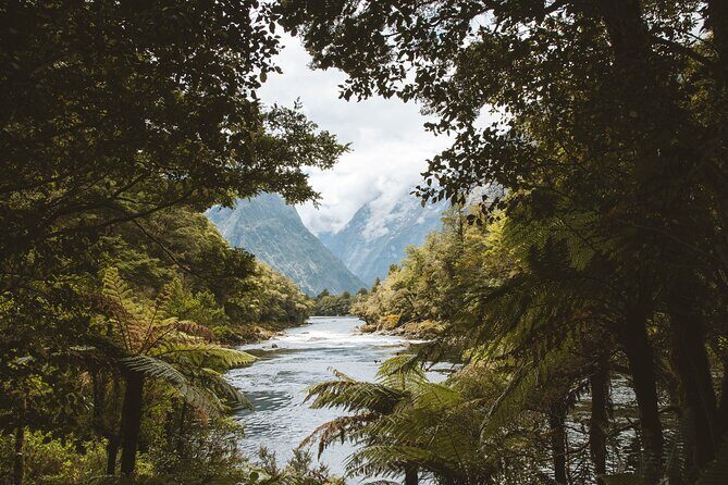 Milford Track Multi-Night Hike - Water Taxi Transport - Quick Practical Checklist for Your Milford Start