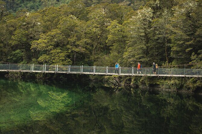 Milford Track Multi-Night Hike - Water Taxi Transport - Should You Book This Milford Track Water Taxi?