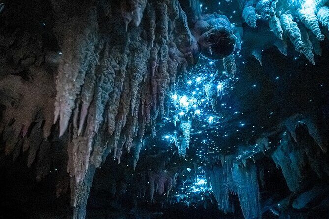 Milky Way Glowworm Cave Tour - Key Highlights at a Glance