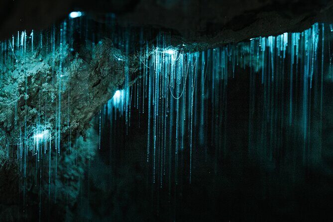 Milky Way Glowworm Cave Tour - Getting There and What the 1-Hour Tour Actually Includes