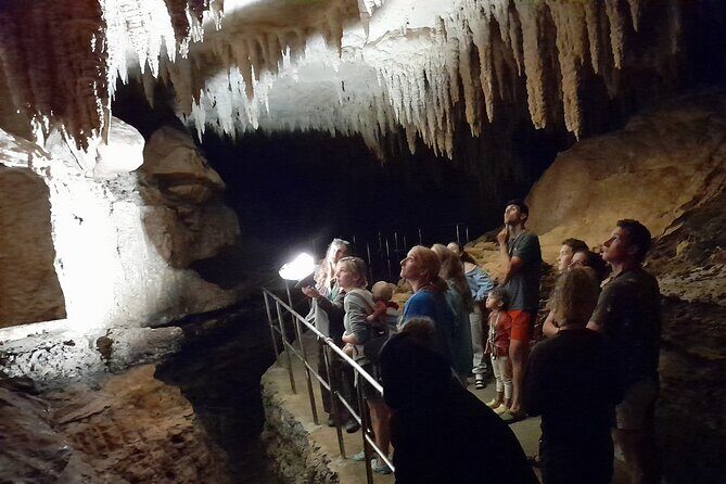 Milky Way Glowworm Cave Tour - Who This Tour Fits Best (and When to Choose the Longer Option)