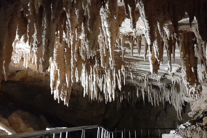 Milky Way Glowworm Cave Tour - Price and Value: Is $27.93 a Fair Deal?