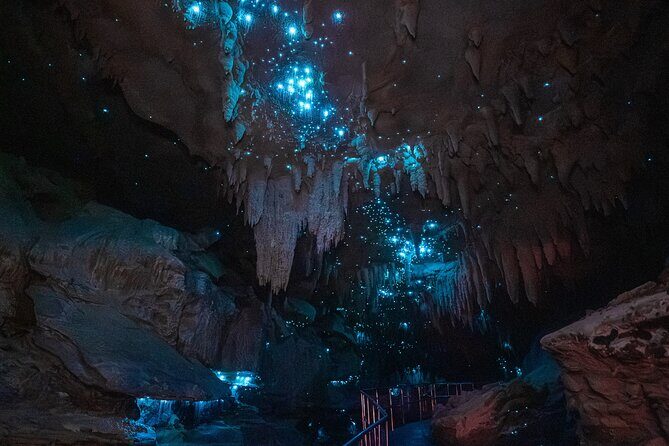 Milky Way Glowworm Cave Tour - Entering the Cave: Lights-On Then Lights-Out Magic