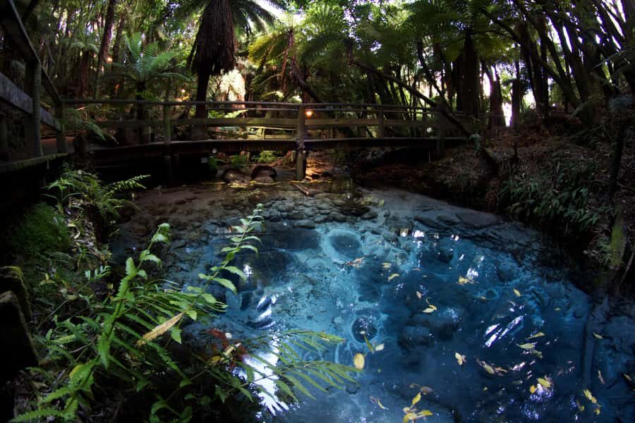 Mitai Maori Village: Cultural Experience and Dinner Buffet - 5) Warriors on the water: canoe paddling down Wai-o-whiro