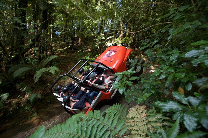 Monster 4X4 Thrill Ride at Off Road NZ - The Rotorua Bush Experience: What You See Beyond the Usual Stops