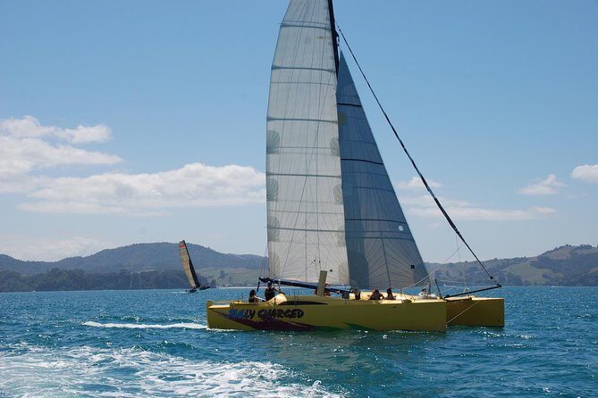 Morning Glory Chilled out Sail (3.5hrs) - What’s included (and what that changes for your day)