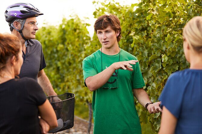 Morning Guided with Afternoon Self-Guided Biking Wine Tour - Key points worth knowing before you ride