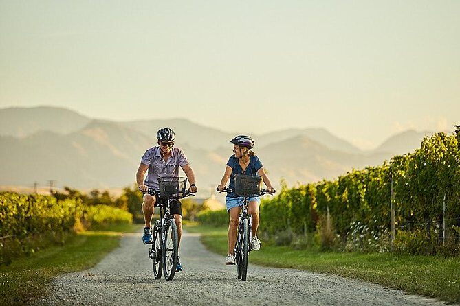Morning Guided with Afternoon Self-Guided Biking Wine Tour - Why this Blenheim bike-and-wine day feels like good value
