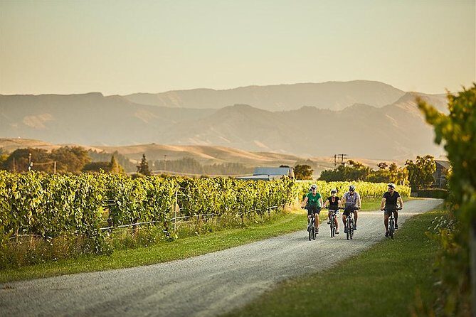 Morning Guided with Afternoon Self-Guided Biking Wine Tour - Safety and comfort: bikes, helmets, hi-viz vests