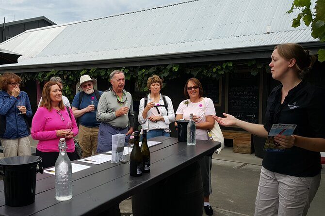 Morning Guided with Afternoon Self-Guided Biking Wine Tour - Rain plan: when the morning turns into a driving wine tour